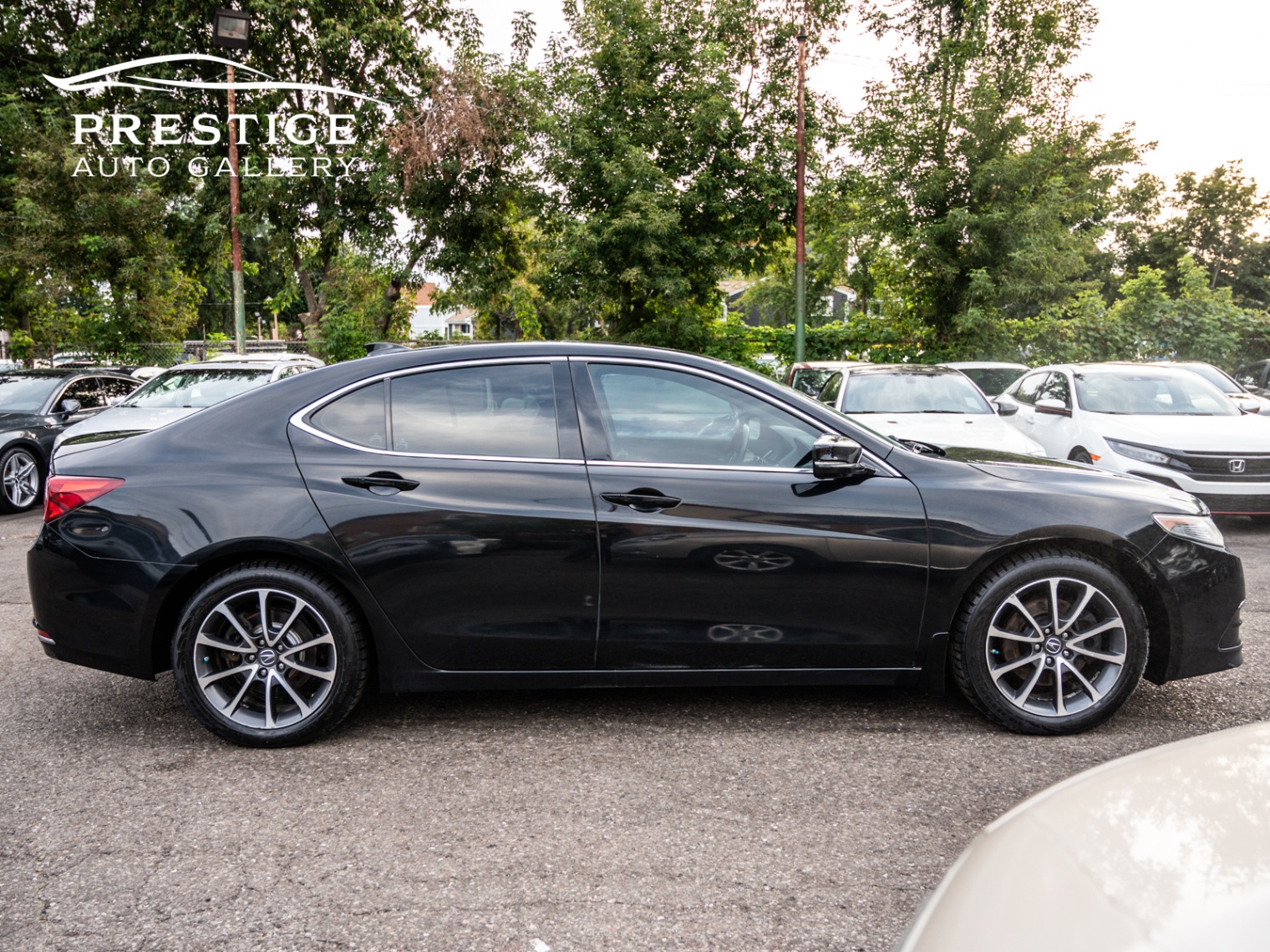 /prestigeautogallery/2015-Acura-TLX-5307231325340185.jpg