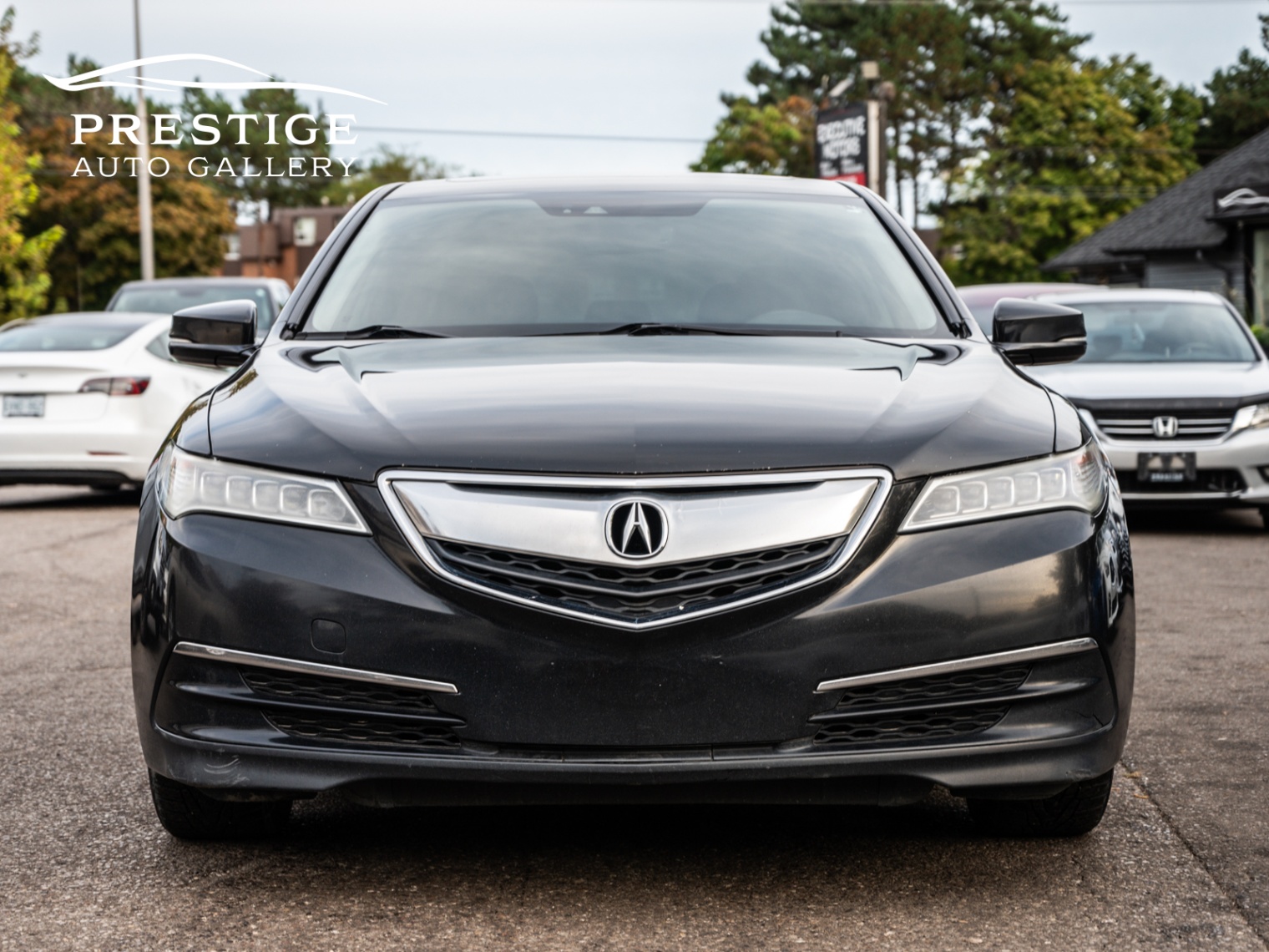 /prestigeautogallery/2015-Acura-TLX-6577985806033775.jpg