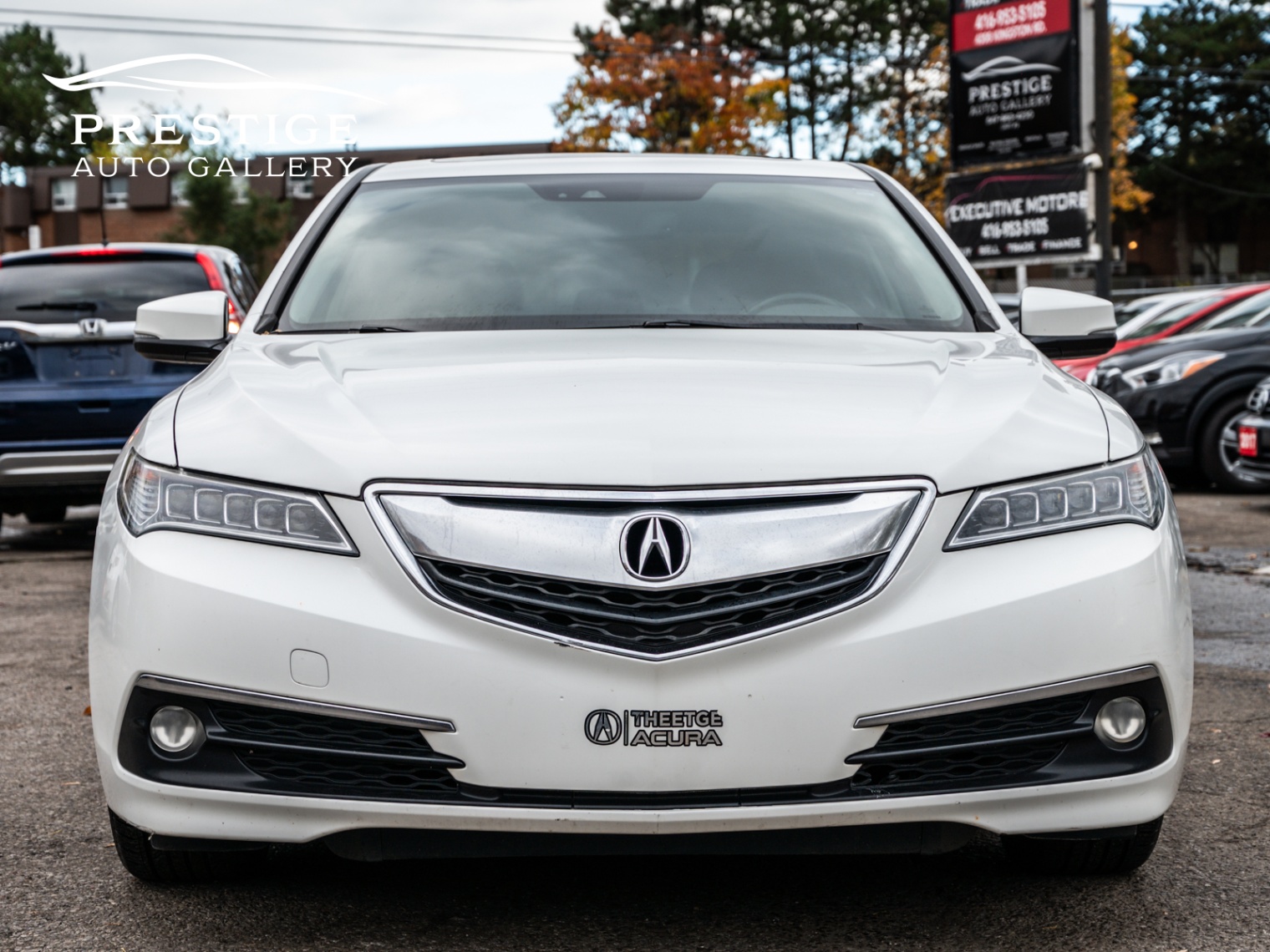 /prestigeautogallery/2015-Acura-TLX-7900113398184188.jpg