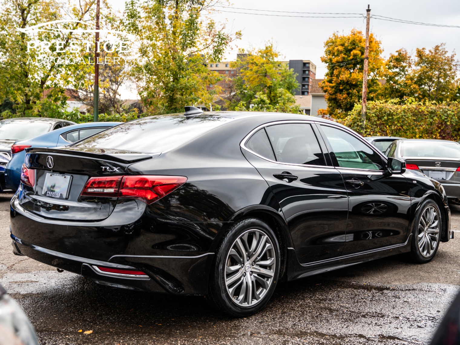 /prestigeautogallery/2016-Acura-TLX-09749701065154692.jpg