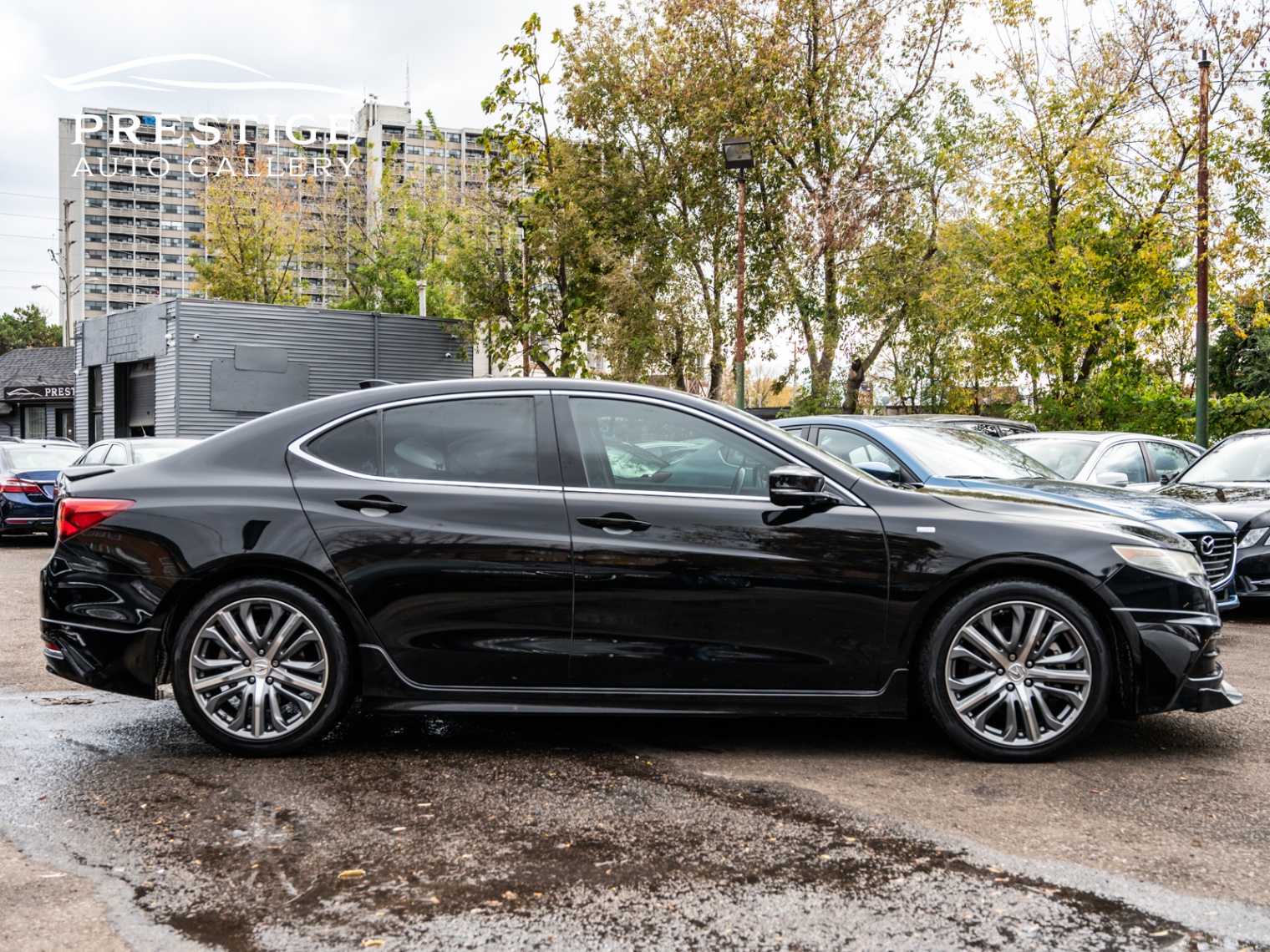 /prestigeautogallery/2016-Acura-TLX-72836221431348.jpg