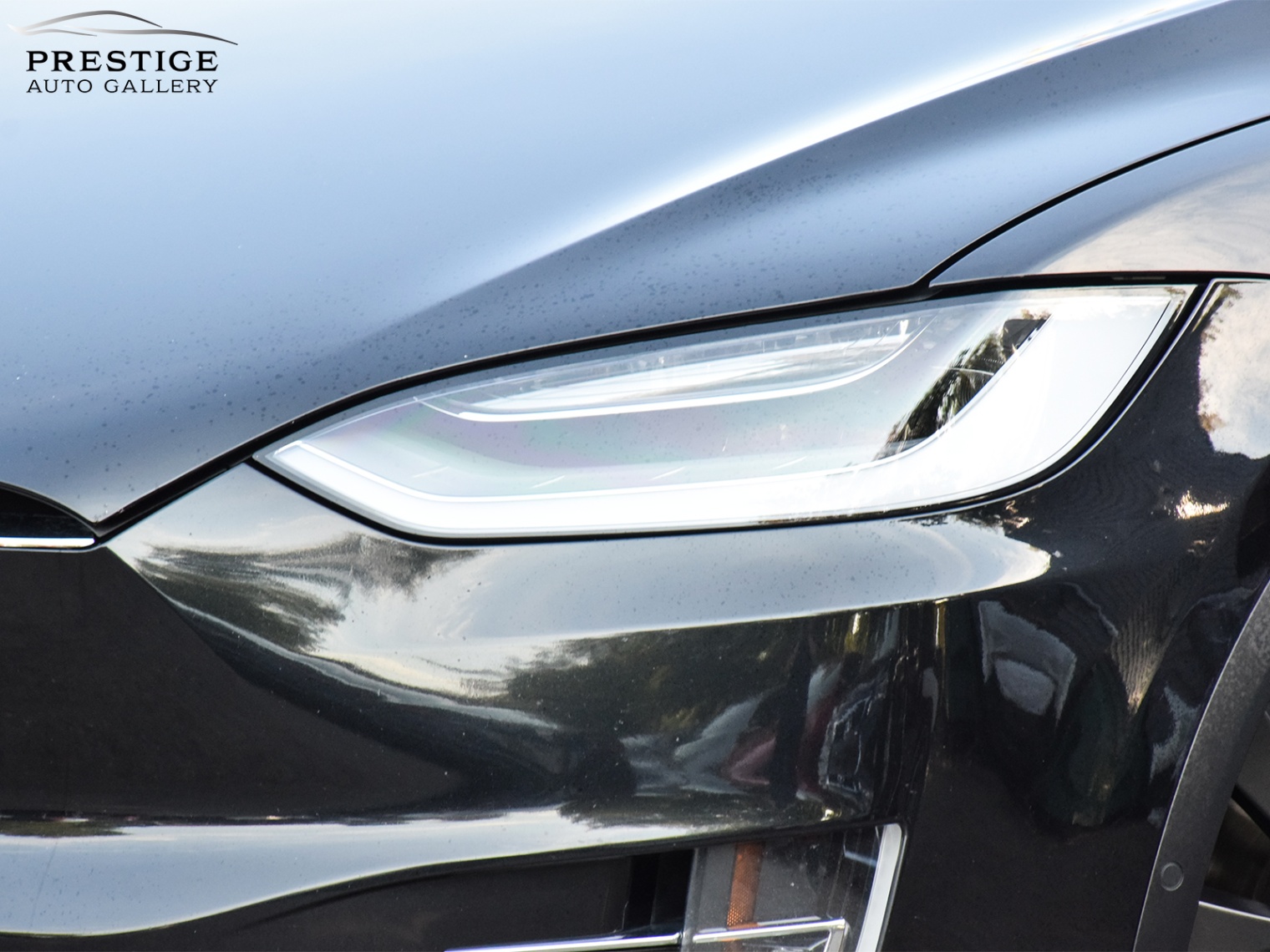 /prestigeautogallery/2016-Tesla-ModelX-027435895371216823.jpg