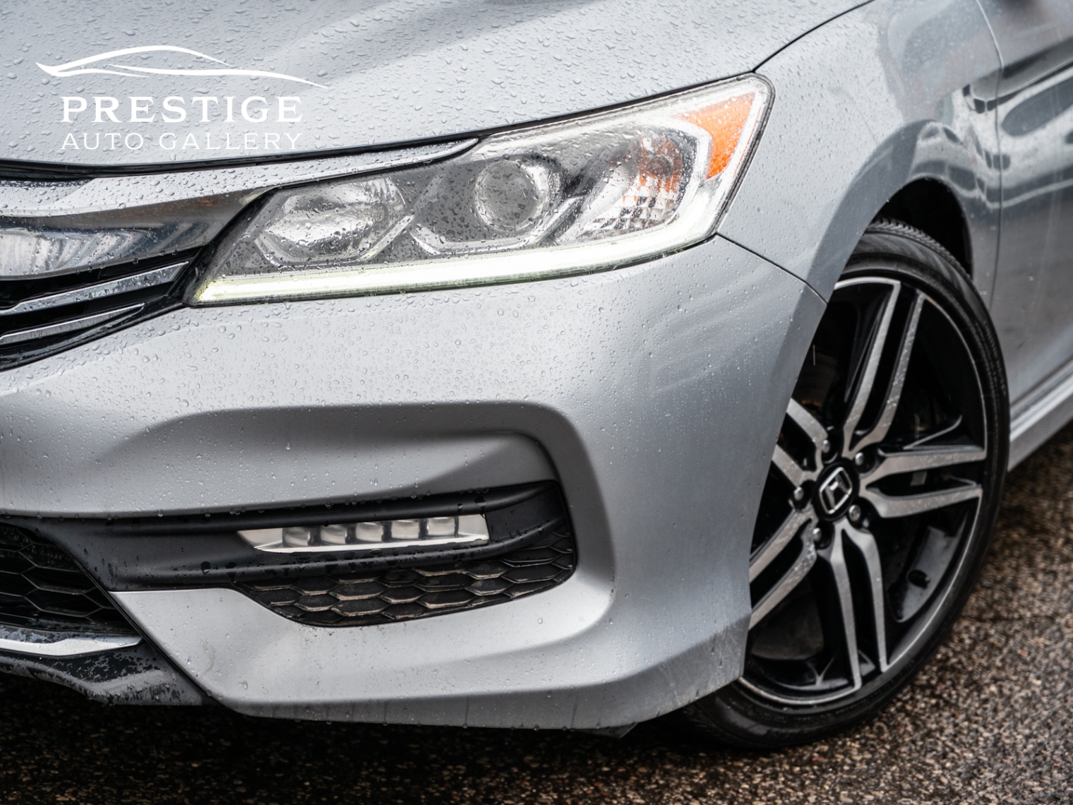/prestigeautogallery/2017-Honda-AccordSedan-5144007911569519.jpg