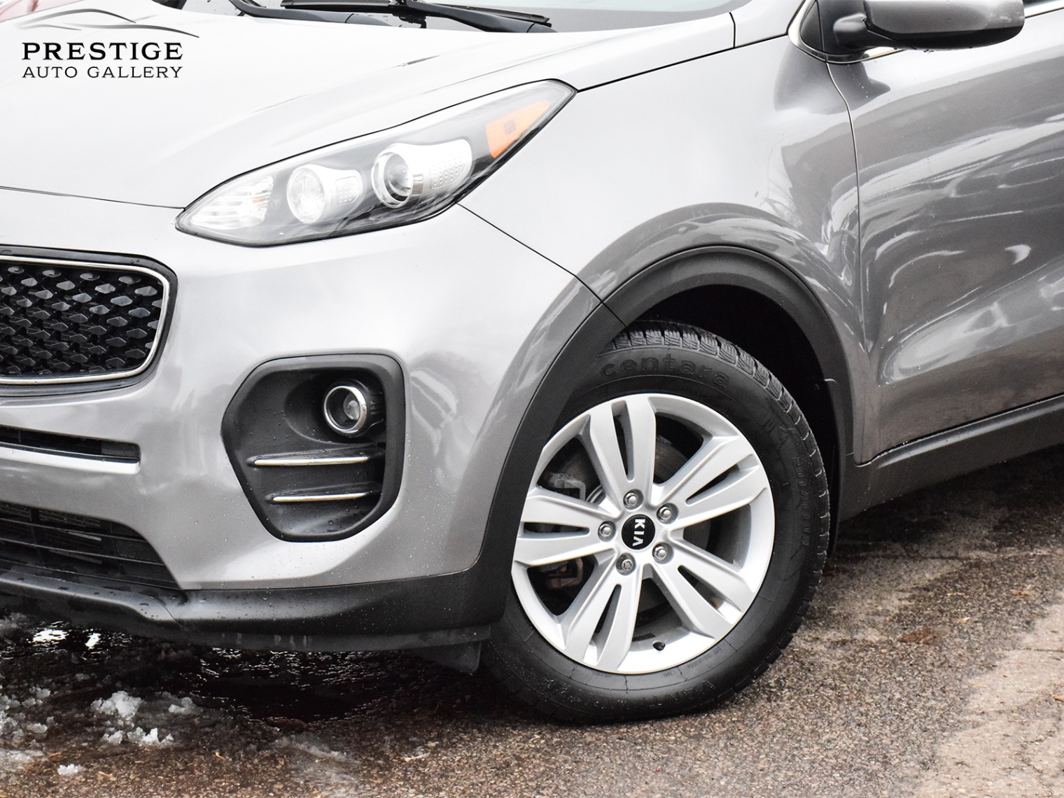 /prestigeautogallery/2017-Kia-Sportage-4260601277568363.jpg