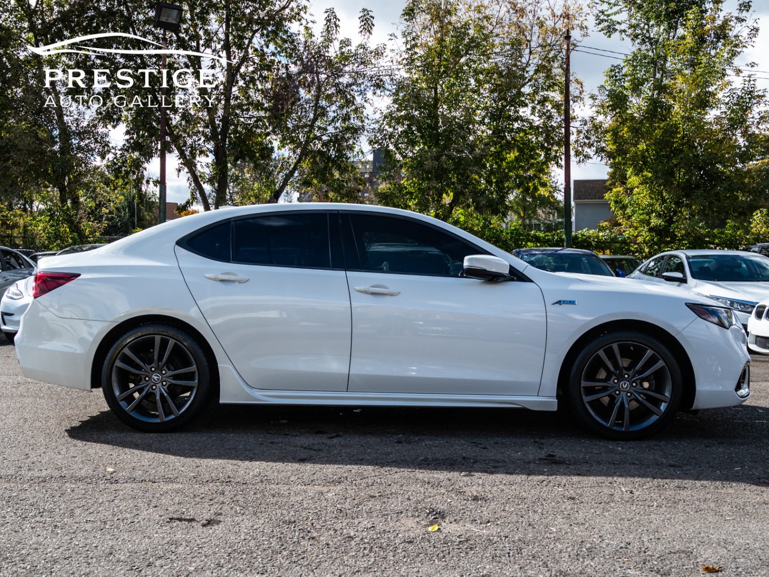 /prestigeautogallery/2018-Acura-TLX-4946546826435374.jpg