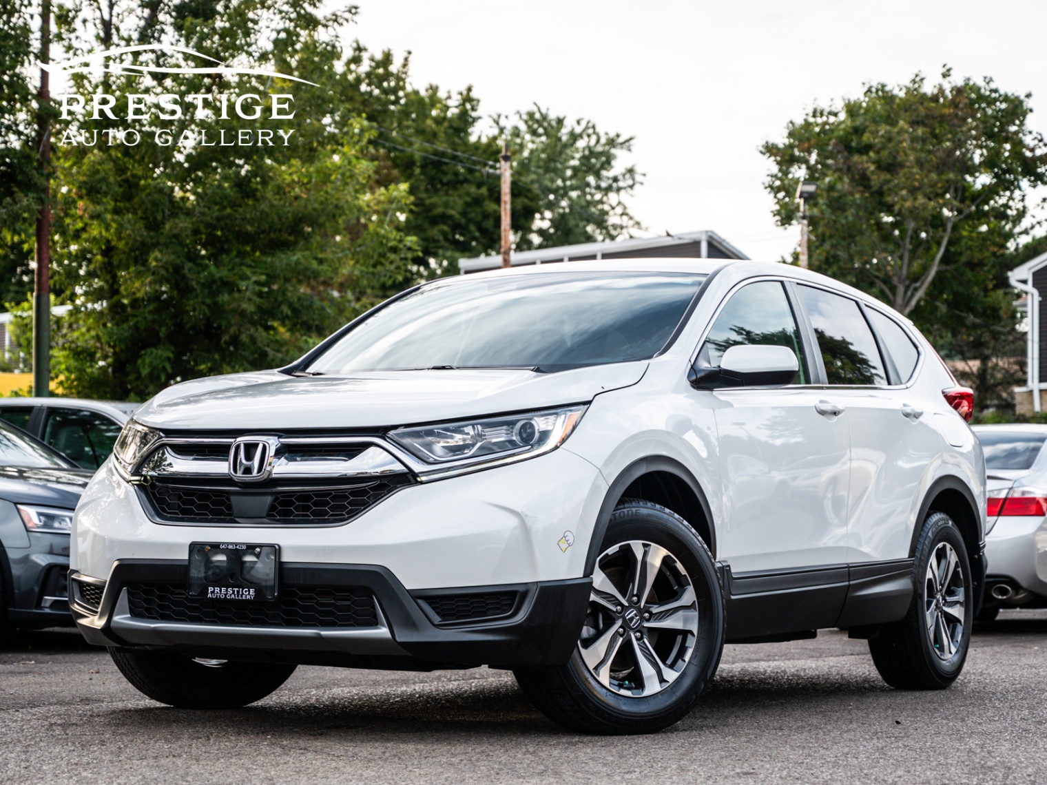 /prestigeautogallery/2019-Honda-CR-V-388703479980973.jpg