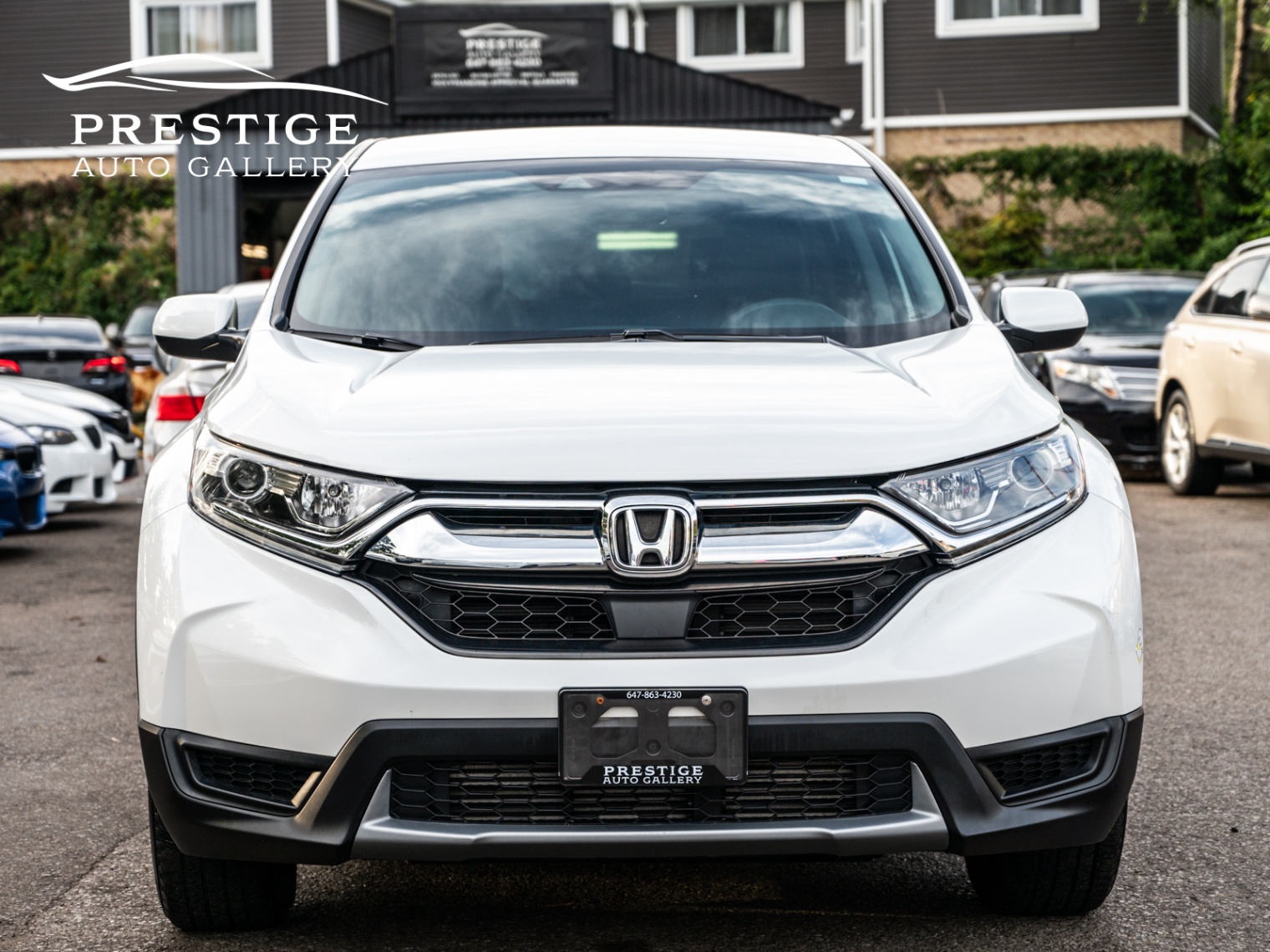 /prestigeautogallery/2019-Honda-CR-V-44877241419803027.jpg