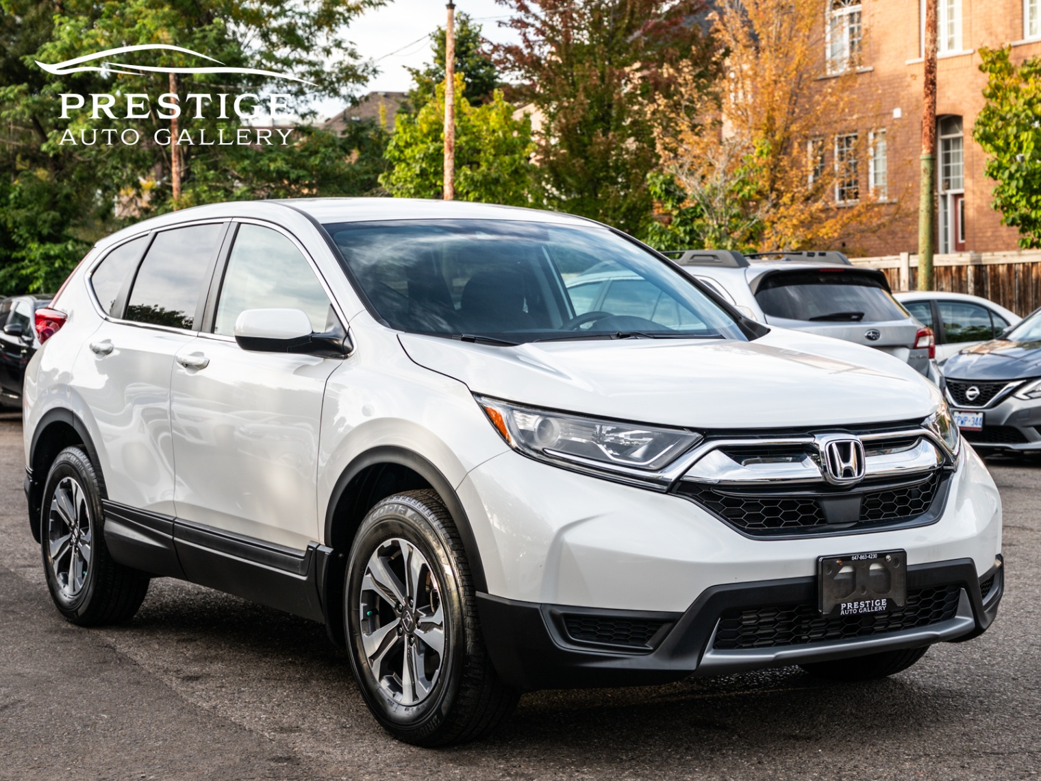 /prestigeautogallery/2019-Honda-CR-V-6987244499325864.jpg