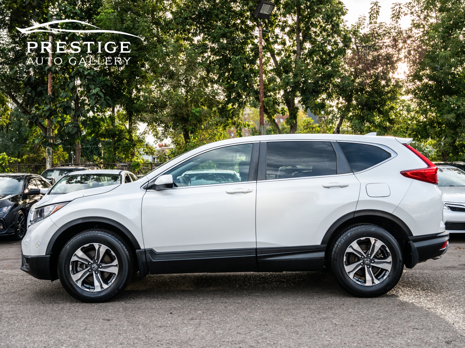 /prestigeautogallery/2019-Honda-CR-V-7948212889198141.jpg