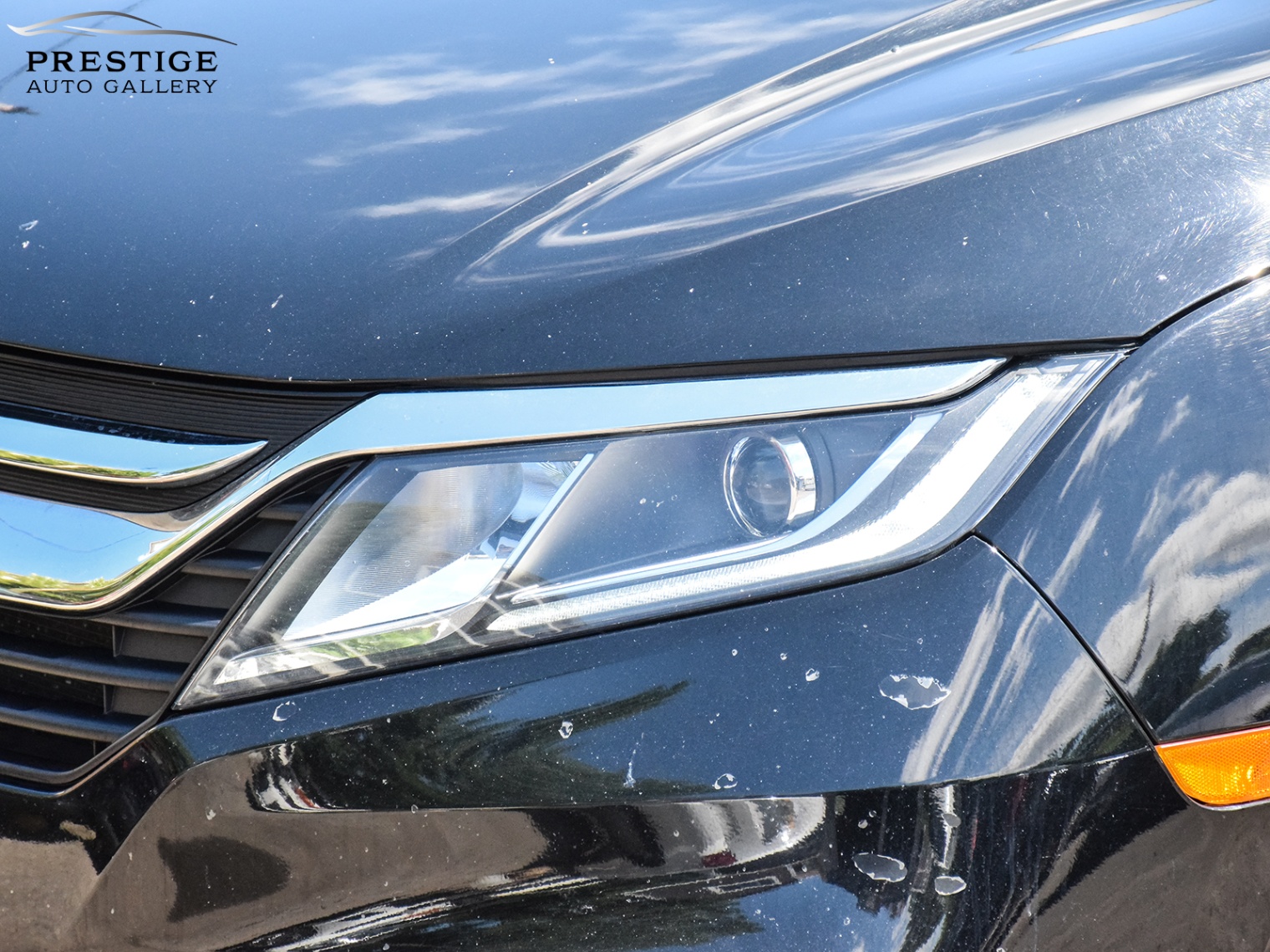 /prestigeautogallery/2019-Honda-Odyssey-25367392518536613.jpg