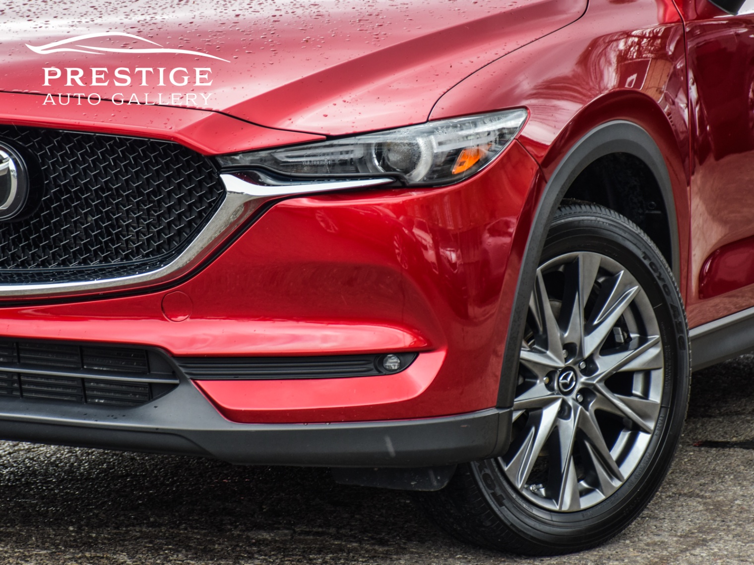 /prestigeautogallery/2019-Mazda-CX-5-46311119240861065.jpg