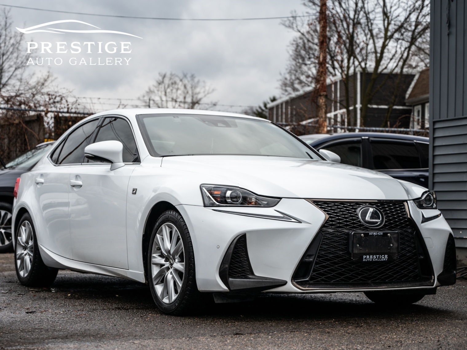 /prestigeautogallery/2020-Lexus-IS-5569548154619093.jpg