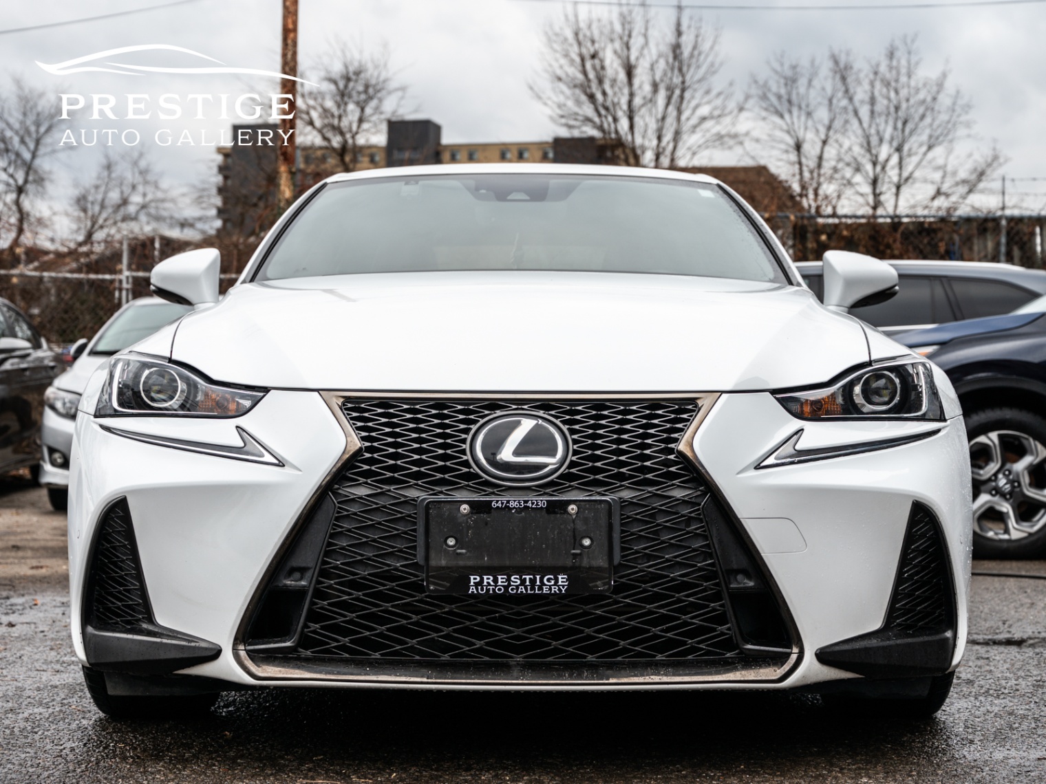 /prestigeautogallery/2020-Lexus-IS-9918057879594315.jpg