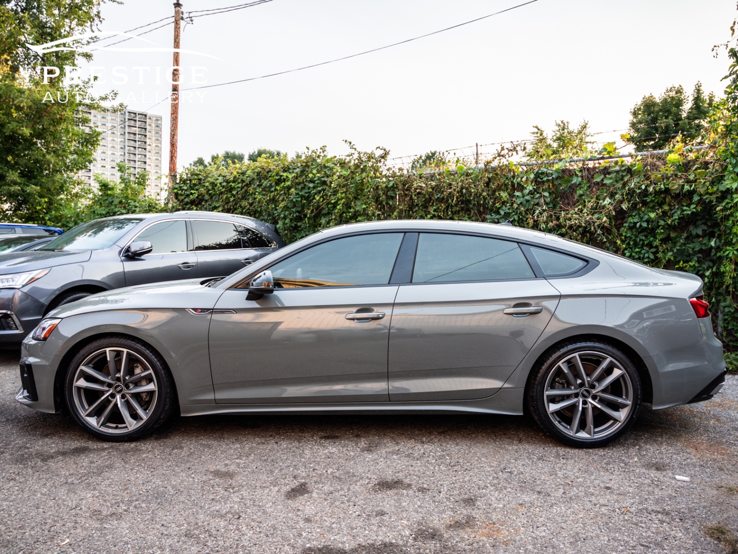 /prestigeautogallery/2021-Audi-A5Sportback-6612662821506579.jpg