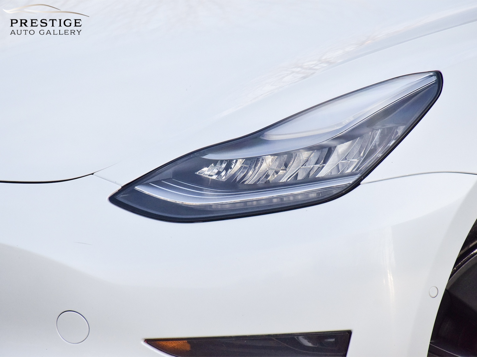 /prestigeautogallery/2021-Tesla-Model3-500401638706705.jpg