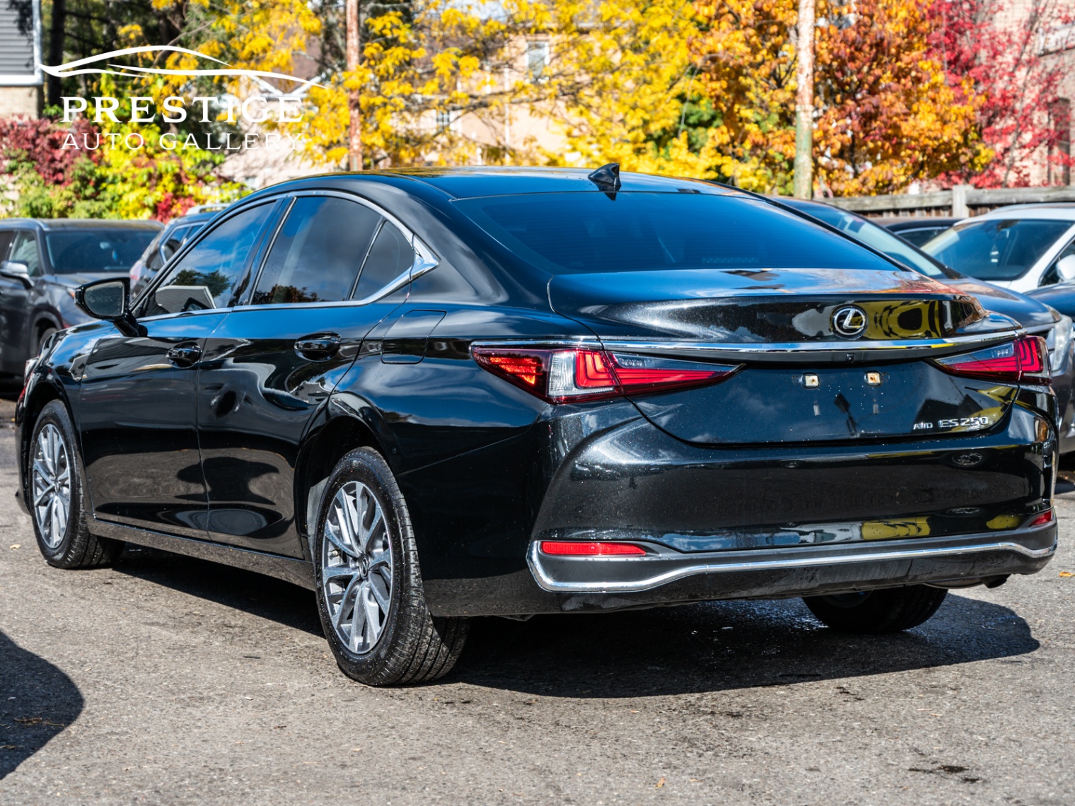 /prestigeautogallery/2022-Lexus-ES250AWD-5747119557115992.jpg