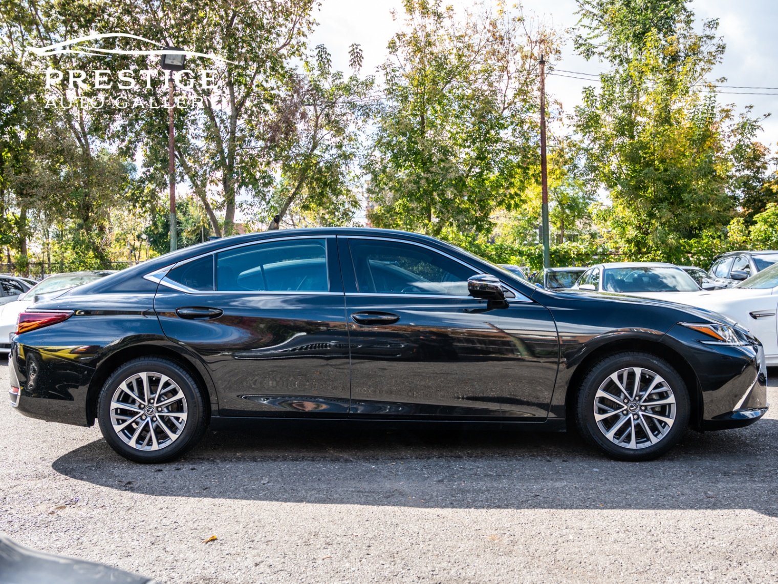 /prestigeautogallery/2022-Lexus-ES250AWD-72838961064622.jpg
