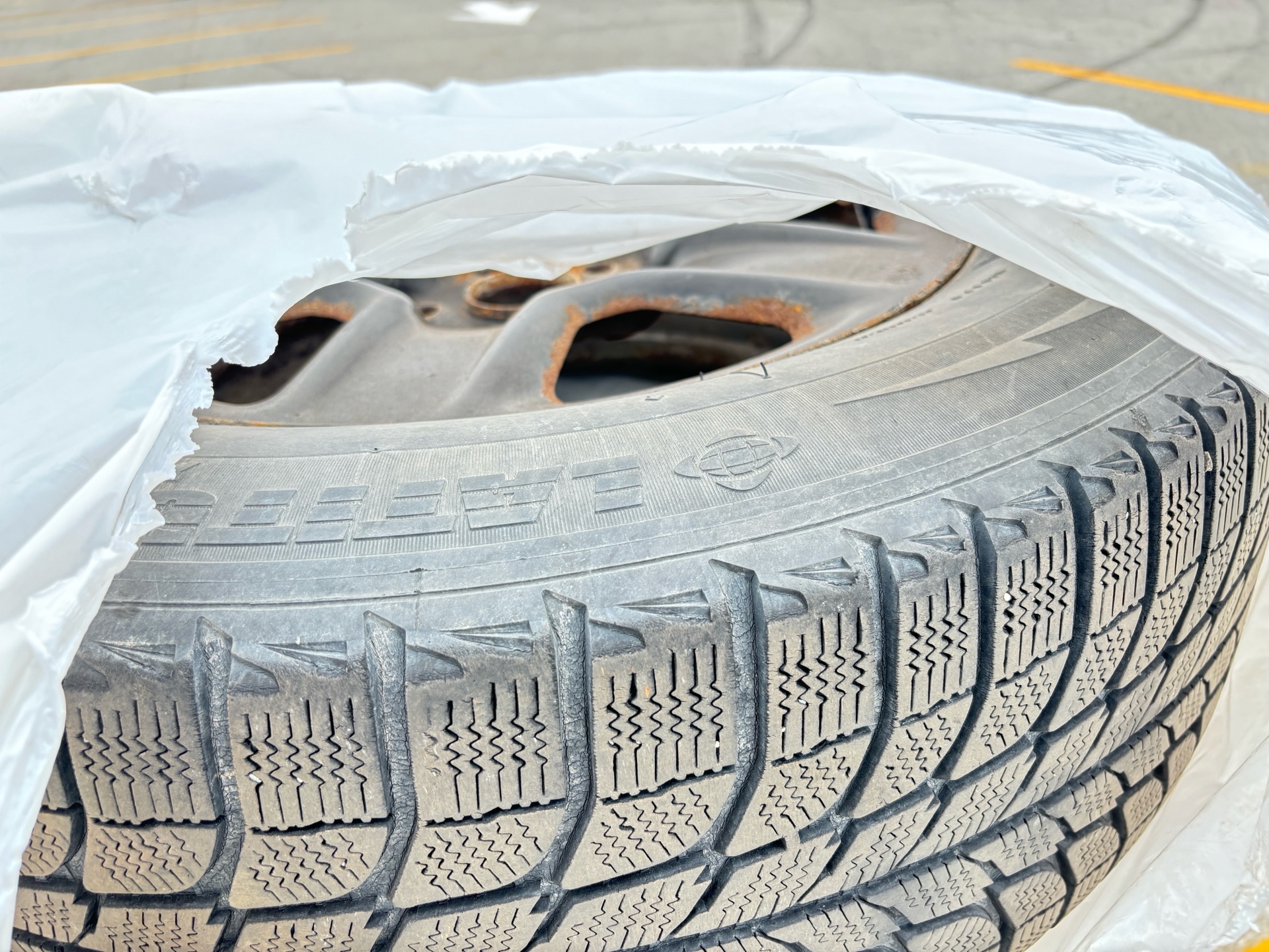 /rahmanmotors/2009-Toyota-Venza-24779653800062795.jpg