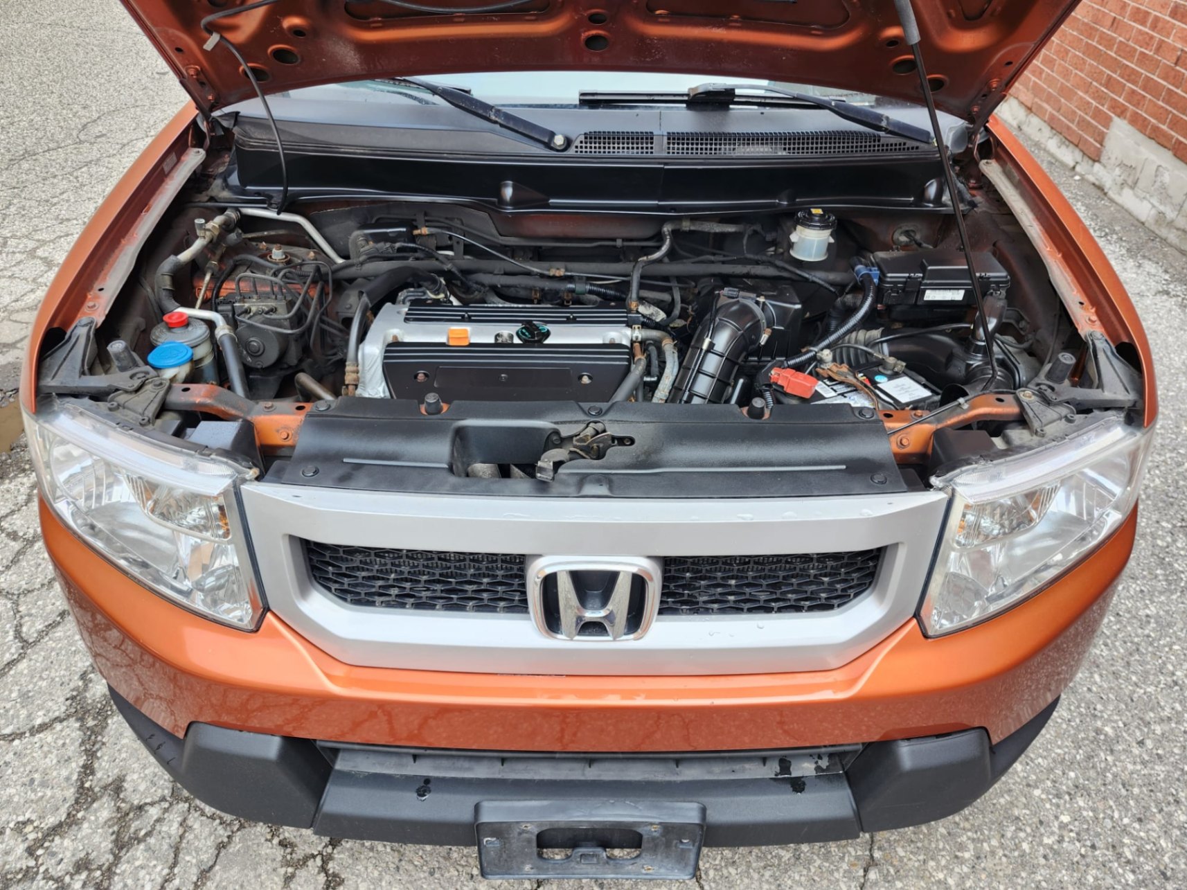 /rahmanmotors/2010-Honda-Element-7106844796903595.jpg