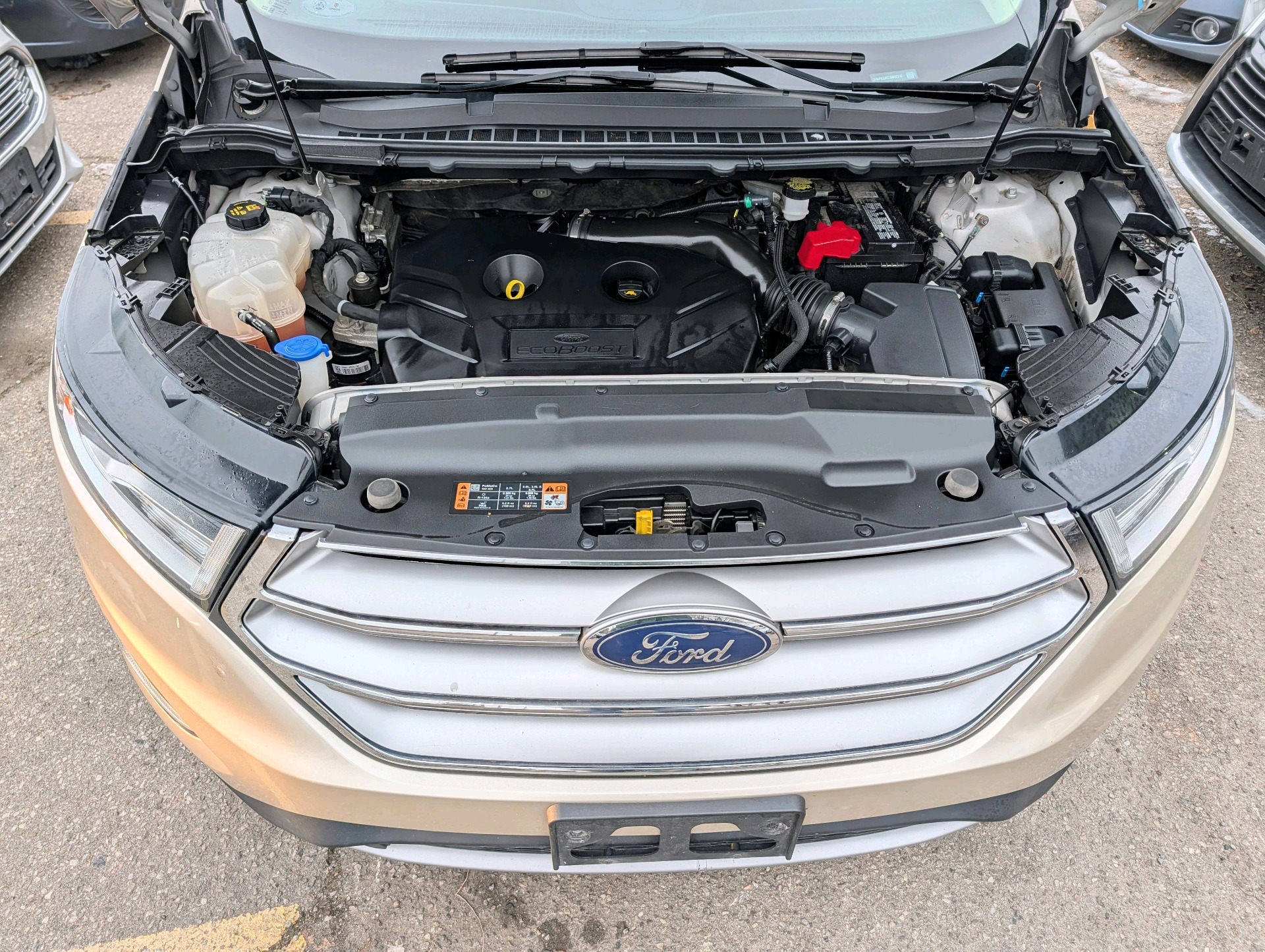 /rahmanmotors/2018-Ford-Edge-3950409745143837.jpg