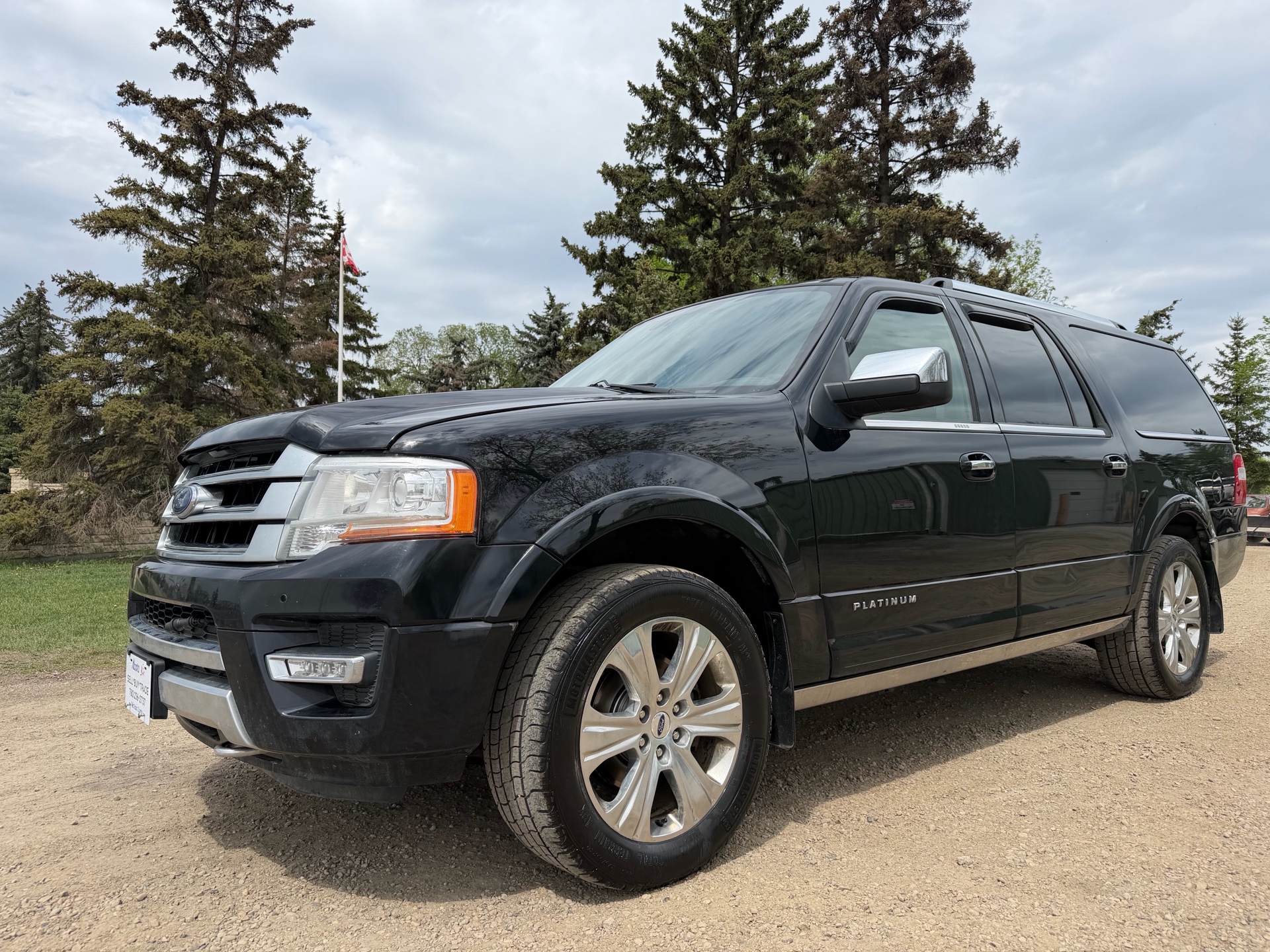 2017 Ford Expedition 4WD 4dr Platinum
