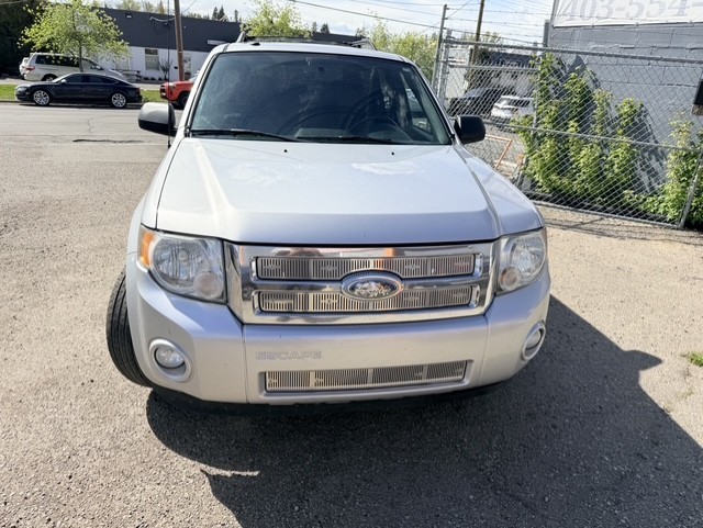 2010 Ford Escape