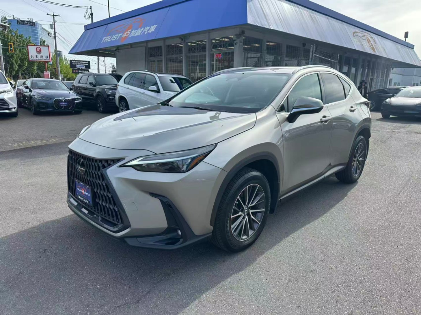 2023 Lexus NX NX 250 AWD