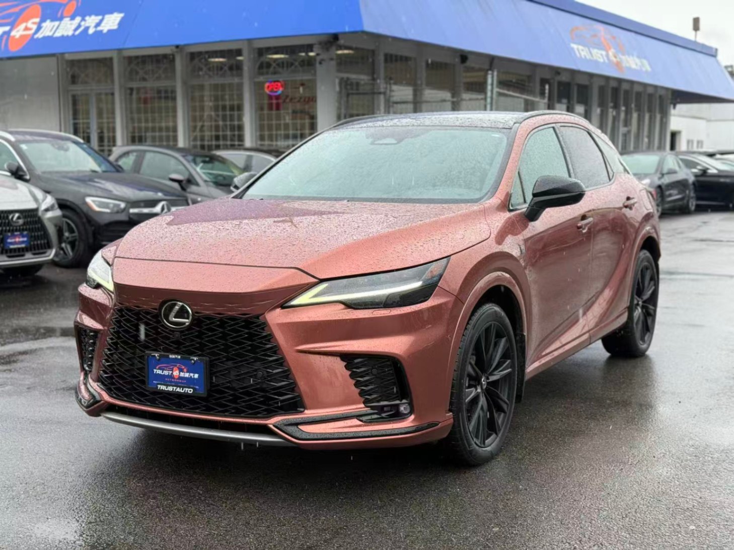 2023 Lexus RX RX 500h Auto