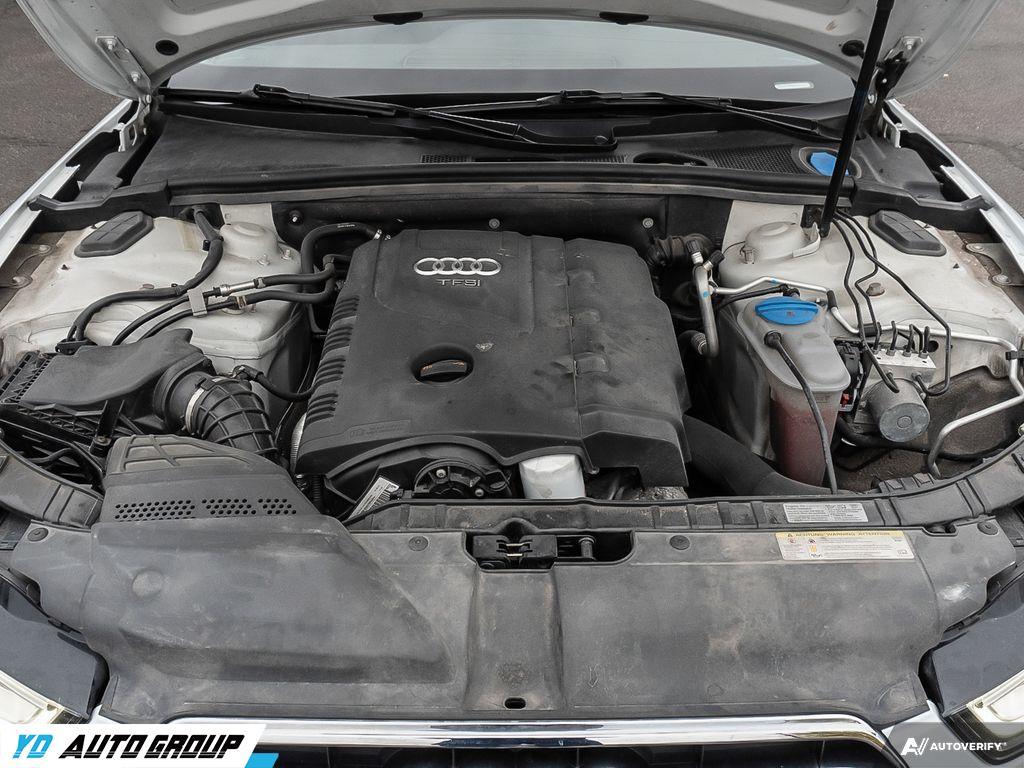 /ydautosalesinc/2013-Audi-A5-17292089238003894.jpg