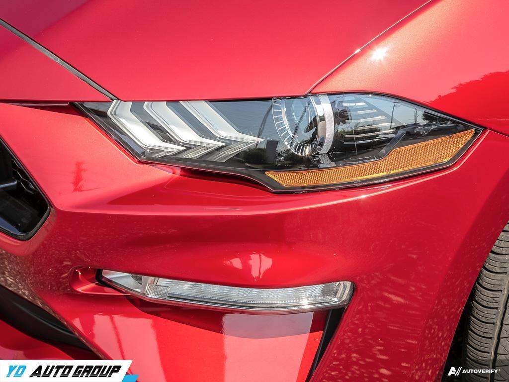 /ydautosalesinc/2019-Ford-Mustang-08214479581432199.jpg
