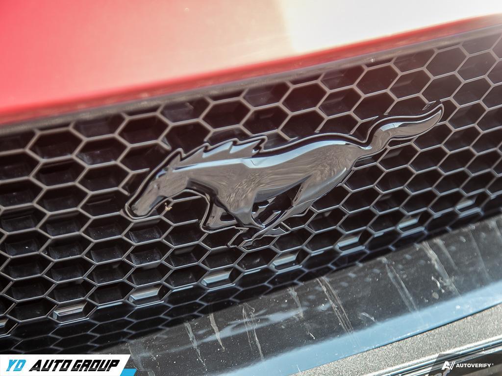 /ydautosalesinc/2019-Ford-Mustang-13960467238546226.jpg