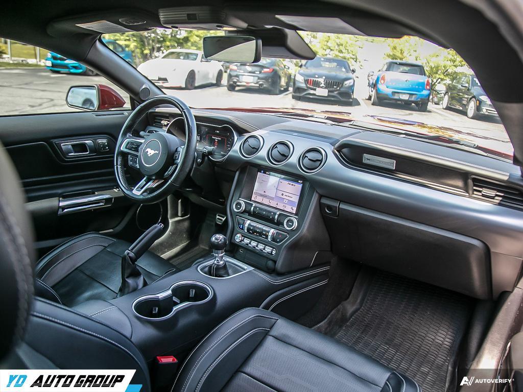 /ydautosalesinc/2019-Ford-Mustang-28352166982502025.jpg