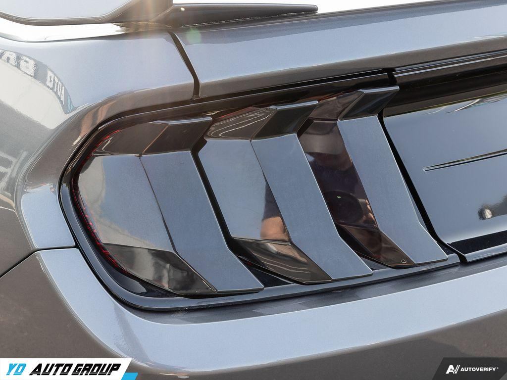 /ydautosalesinc/2021-Ford-Mustang-17311137890874684.jpg