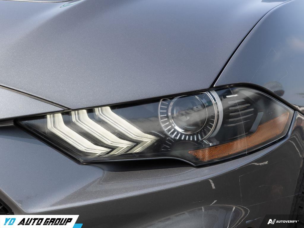 /ydautosalesinc/2021-Ford-Mustang-2756732869962817.jpg