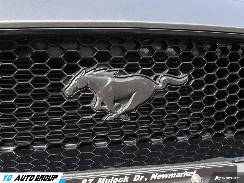 /ydautosalesinc/2021-Ford-Mustang-5208299428952821.jpg