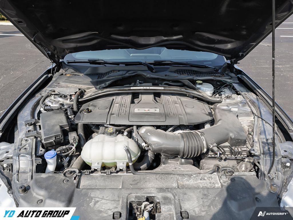 /ydautosalesinc/2021-Ford-Mustang-9053417085175164.jpg