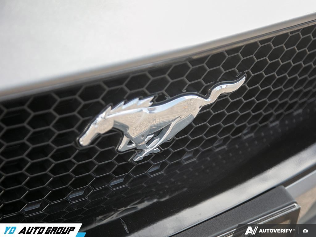 /ydautosalesinc/2023-Ford-Mustang-029108146889480047.jpg